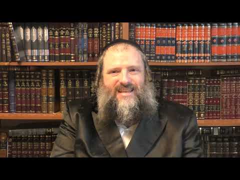 הדרך לקבלת התורה, כל אחד בכל מצב מגיע לדרגות! הרה"ק רבי נפתלי מראפשיץ זי"ע בספר זרע קודש פרשת במדבר