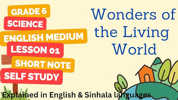 Grade 6 Science English Medium Lesson 1 Wonders of the Living World
