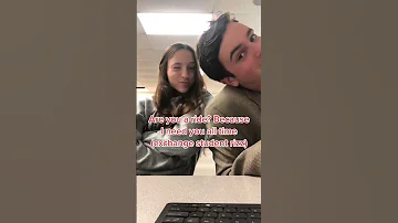 Life Of An Exchange Student 