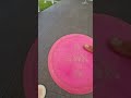 That chain sound tho🔥🔥🔥 #discgolf #frisbeegolf #flyingdisc