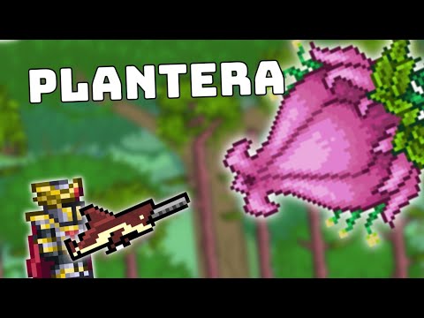 Como Derrotar Terraria Plantera?