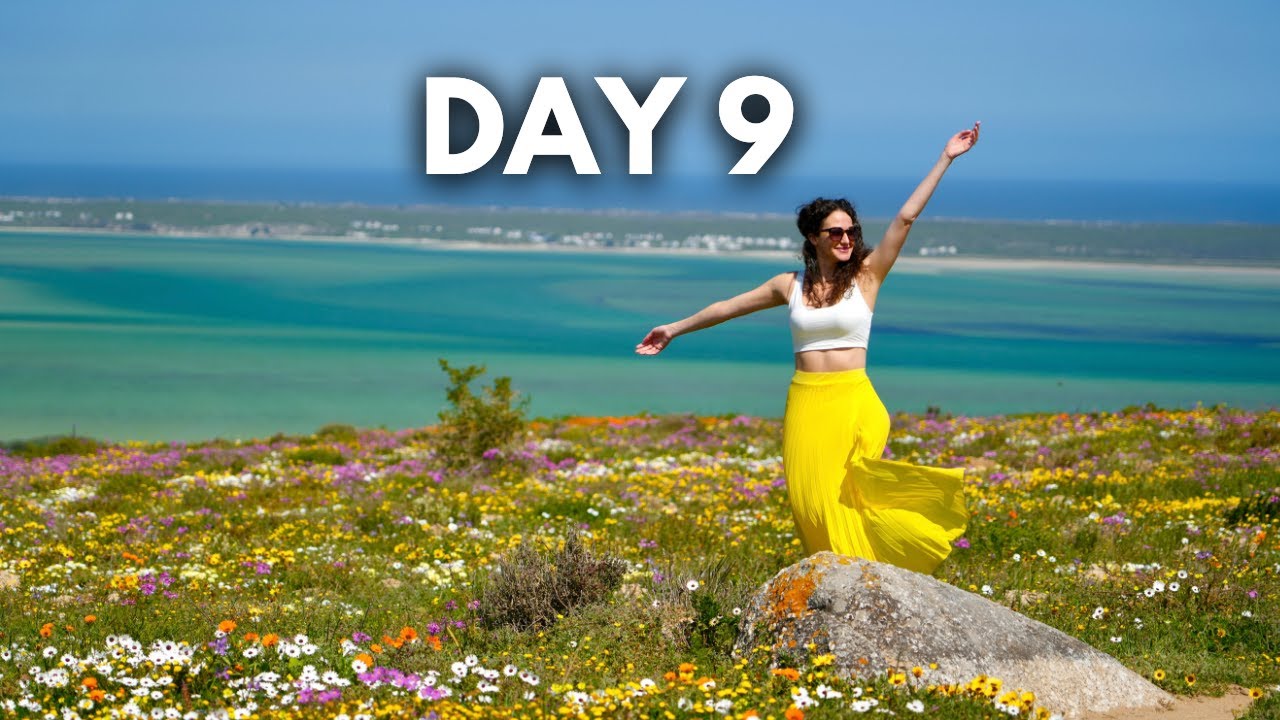 Регби-Виктори, национальный парк и немецкая кухня на пристани в Лангебане, Южная Африка! 💦🌸