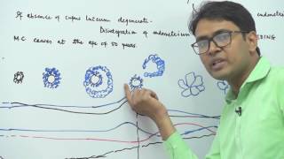 Menstrual Cycle: 1 - Human Reproduction - Dr. Rajeev Ranjan | NEET | Video Lectures