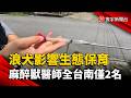 浪犬影響生態保育  麻醉獸醫師全台南僅2名｜#寰宇新聞 @globalnewstw