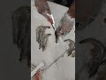 Shrimp Cutting and Cleaning Process #চিংড়ি_মাছ #shrimp #shorts  #ShrimpCleaning