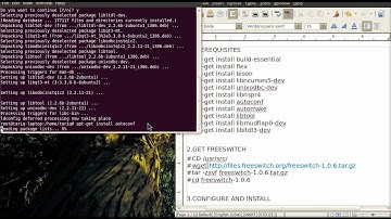 Installing Freeswitch on Ubuntu 10.04 | Part 1