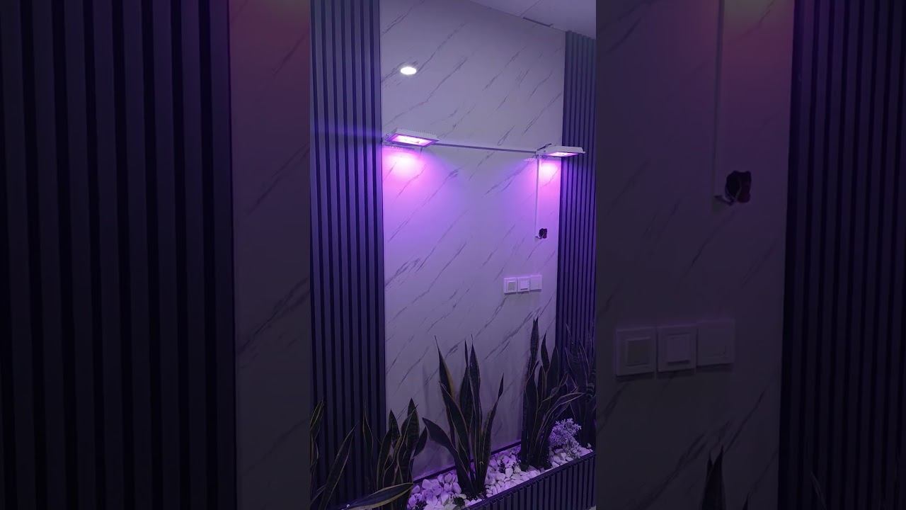 adjustable grow lights ive made for my friends sansevieria 