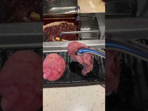 하이디라오 돼지 뇌 (대만)