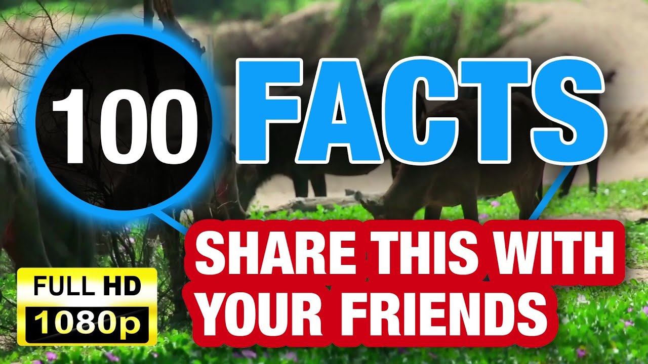 100 Creepy Random Facts That Will Blow Your Mind - YouTube