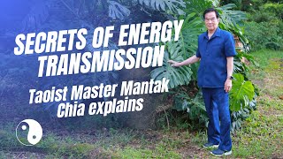 How is energy transmission online even possible? Tao Master Mantak Chia explains his techniques☯️