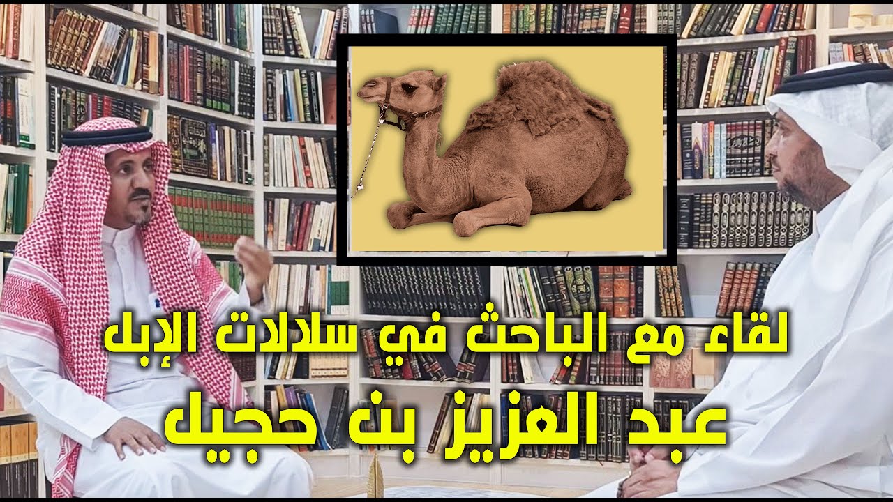 لقاء مع الباحث في سلالات الإبل الأستاذ / عبد العزيز بن حجيل الوذيناني