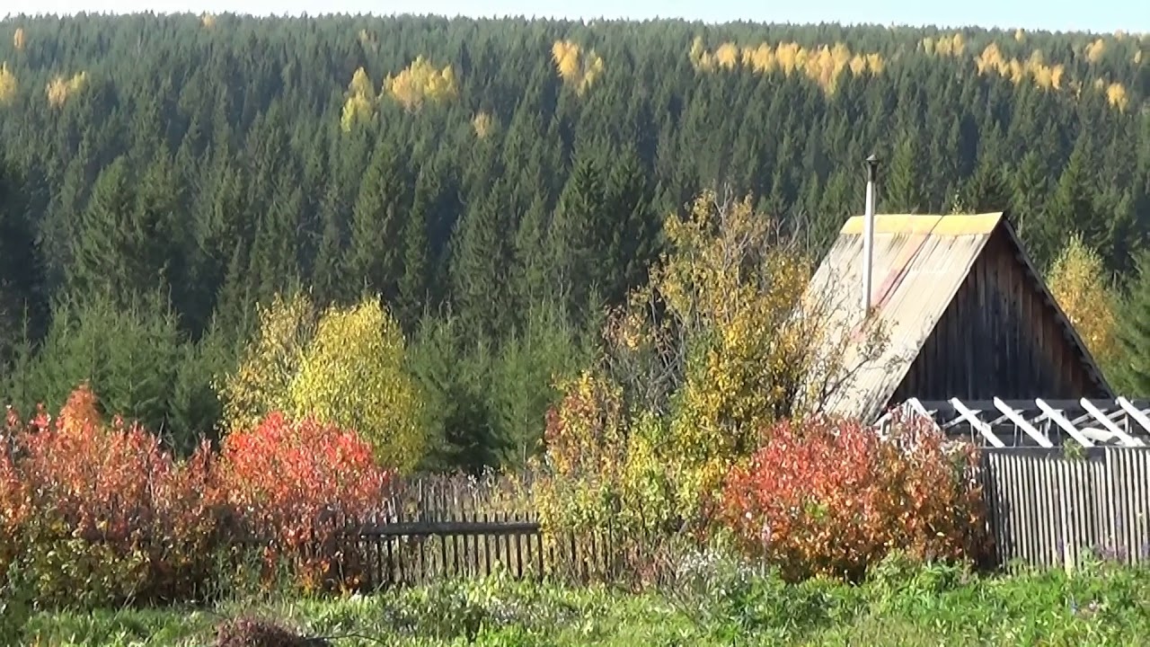 Пермский край александровск прогноз погоды. Александровск Пермский край. Лес Александровск Пермский край. Карагай Пермский край. Пермь Александровский район.