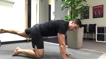 Build Full Body Core Strength With The Quadruped Exercise