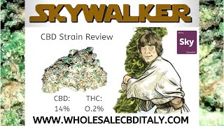 SKYWALKER !! // wholesaleCBDitaly