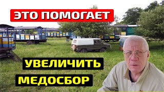 Один сезон кочевой пасеки Перевозка пчел