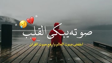 أجمل حالات واتس اب قرآن كريم بصوت جميل جدا | صوته يريح القلب Quran status 😭❤.