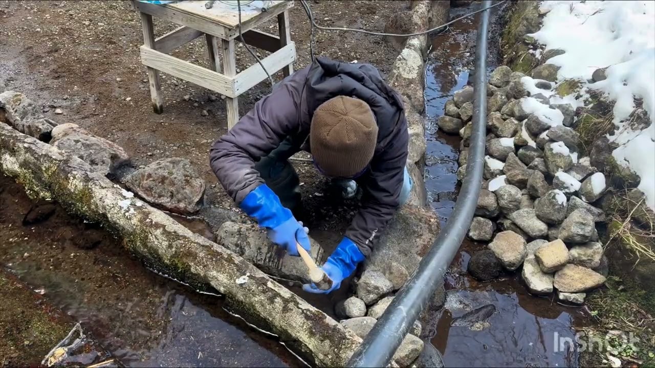 わさび田整備 #5｜Wasabi Farm Maintenance in Rural Japan – Helping the Water Flow Smoothly