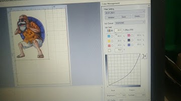 Acrorip settings for Dtf Printing | Best setting | DTF INDIA 🔥😎