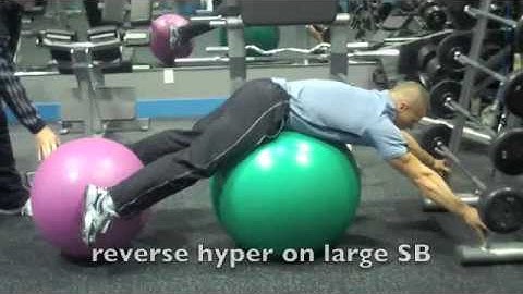 Reverse Hyperextension with Stability Ball
