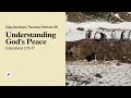 Understanding God’s Peace – Daily Devotional