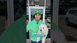 I Thought My Dog Needed Training… Turns Out It Was Me