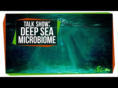 Deep Sea Microbiome: SciShow Talk Show thumbnail