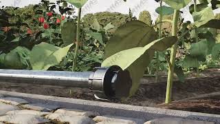 Erhas - Drip Pack-F French Version