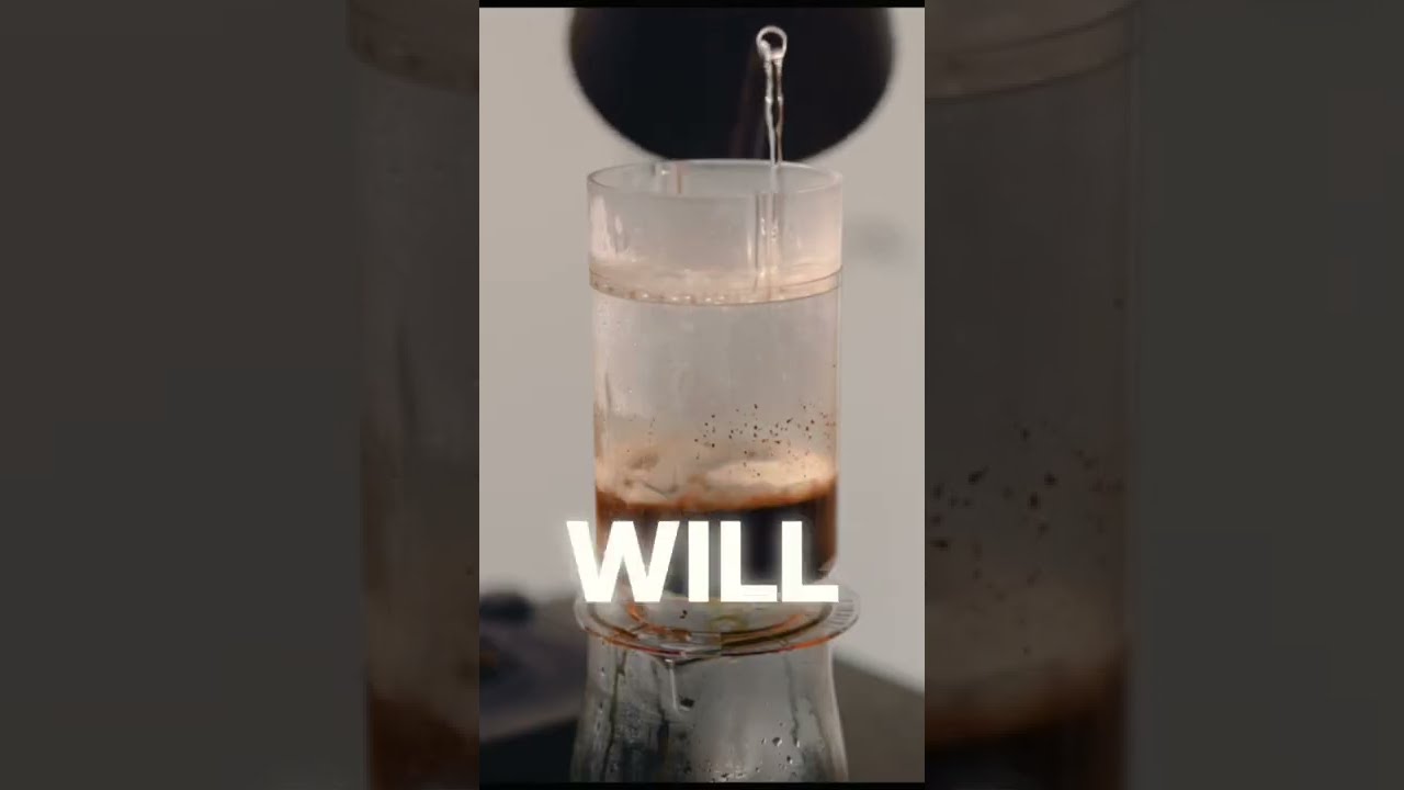 The BEST Coffee Brewer EVER Shorts