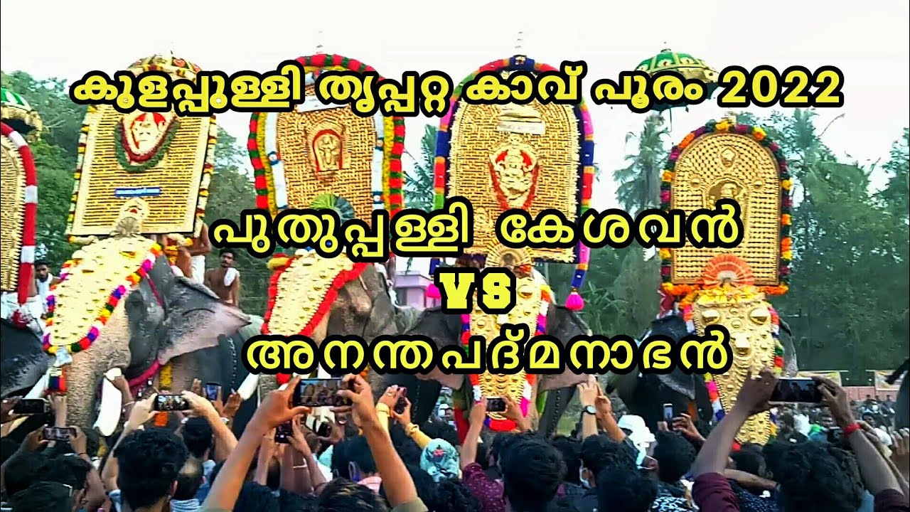 Thrippattakkavu pooram 2022. തൃപ്പറ്റക്കാവ് പൂരം.. Puthuppally keshavan VS Ananthapadmanabhan.