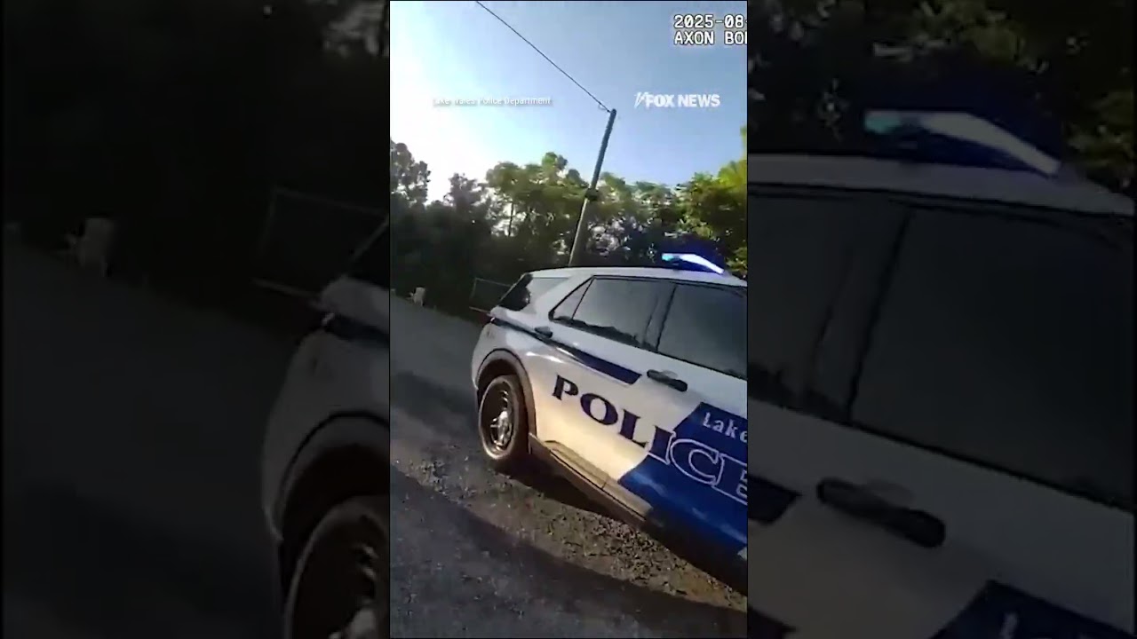 An officer and his K-9 partner are recovering after being dragged and struck by a car #shorts #news