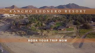 Get 10% off your first visit here:
https://www.rancholeonero.com/rancho-leonero-first-time-visitors.html
located just 1 hour from cabo san lucas airport, thi...