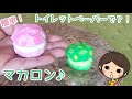 【DIY!】トイレットペーパーで簡単？！マカロンの作り方