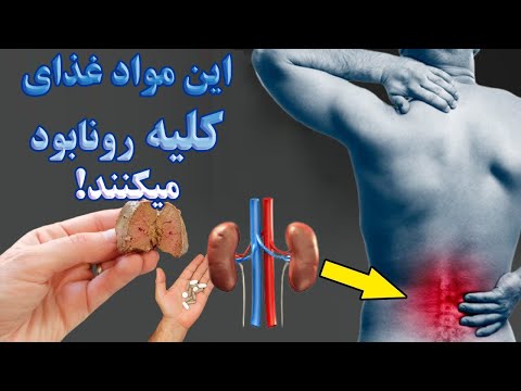 تصویری: ژولین با قارچ و کلیه