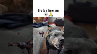 #animatedstory