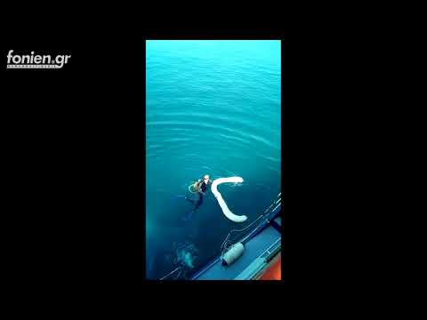 fonien.gr - Άσκηση απορρύπανσης στο λιμάνι Αγίου Νικολάου (20-9-2017)