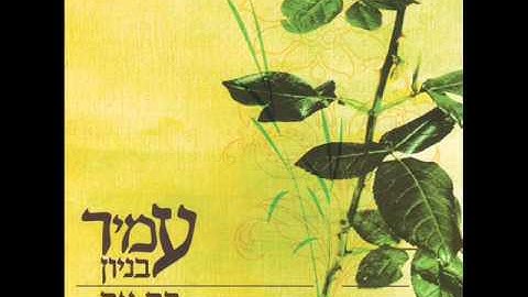 Thumbnail of עמיר בניון קסם Amir Benayoun