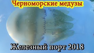 Черноморские медузы 20 минут релакса Железный порт 2018 / Black Sea jellyfish. relaxation