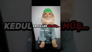 Huzur İçi̇nde Uyu Kedullah...