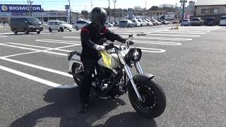 2100000597383 FLSTF1450 S
