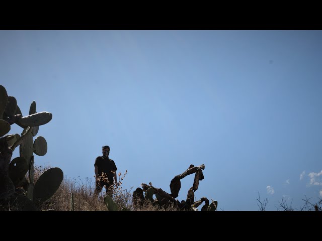 Alan Walker - Faded (Vikstrom Remix) / Shuffle Dance (Music Video) / Edudimon