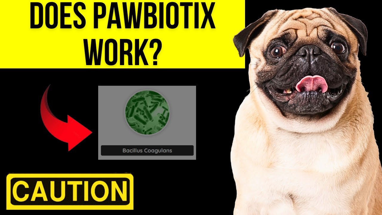Does Pawbiotix Work? Pawbiotix review!  Is It Worth It for Your Pet’s Health?