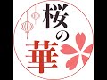 桜の華Original 直播测试
