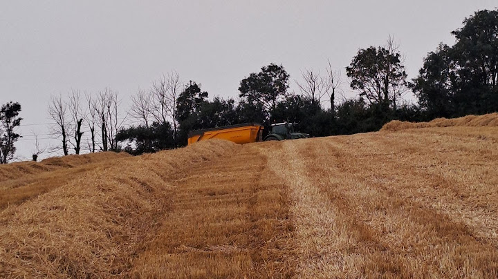 MOISSON D'ORGE (1 mois à la ferme 12/30)