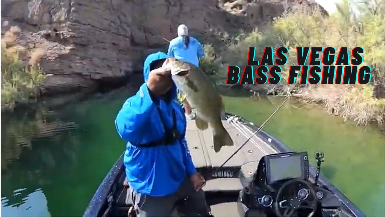 Lake Mead Bass Fishing