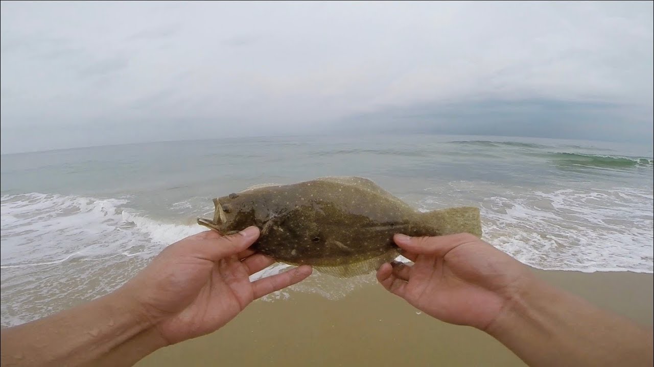 Surf fishing on Virginia Beach! (Virginia/SC Part 2) YouTube
