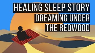 Dreaming Under The Redwood😴 LONG BEDTIME STORY FOR GROWNUPS 💤 Adult Bedtime Story