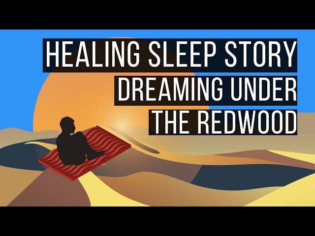 Dreaming Under The Redwood😴 LONG BEDTIME STORY FOR GROWNUPS 💤 Adult Bedtime Story class=