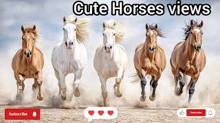 Peaceful and Wonderful horses Views | ঘোড়ার সাথে প্রকৃতির মধুর সম্পর্ক নিয়ে স্টেটাস  screenshot 5
