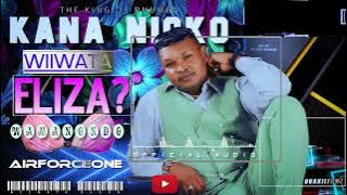 KANA NICKO   WIIWATA ELIZA  4K Audio Visualizer