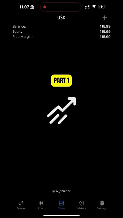 Flip 10$  38738$ By using Fx punters System Part 1